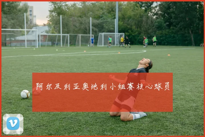 阿尔及利亚奥地利小组赛核心球员