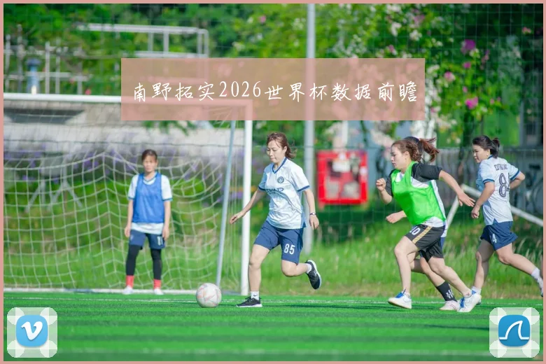 南野拓实2026世界杯数据前瞻