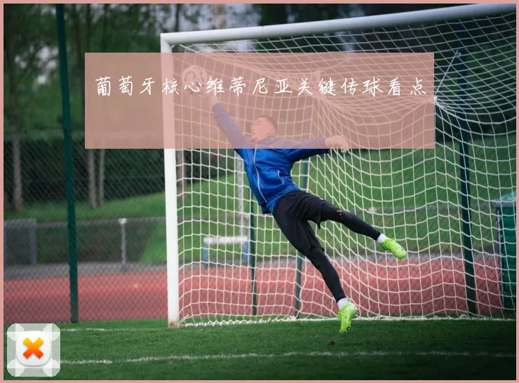 葡萄牙核心维蒂尼亚关键传球看点