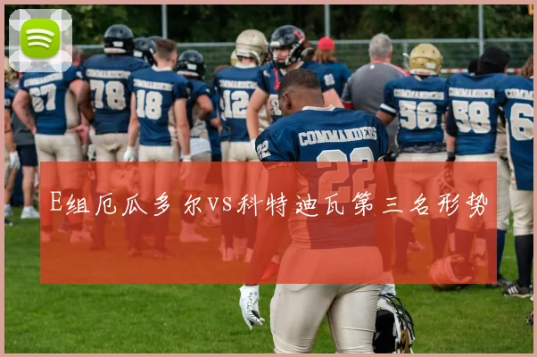 E组厄瓜多尔vs科特迪瓦第三名形势