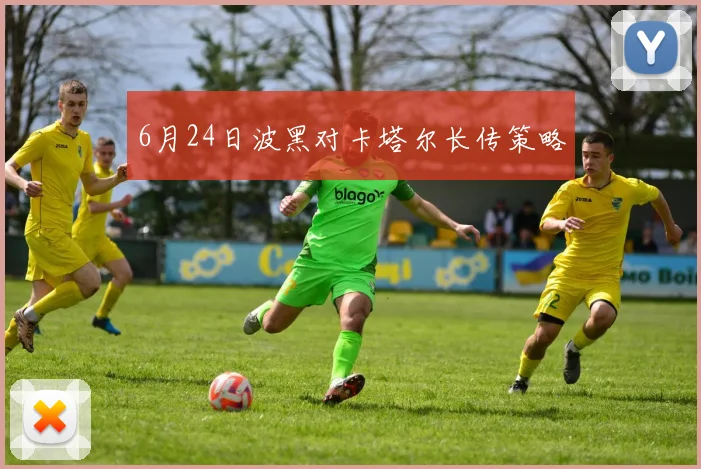 6月24日波黑对卡塔尔长传策略