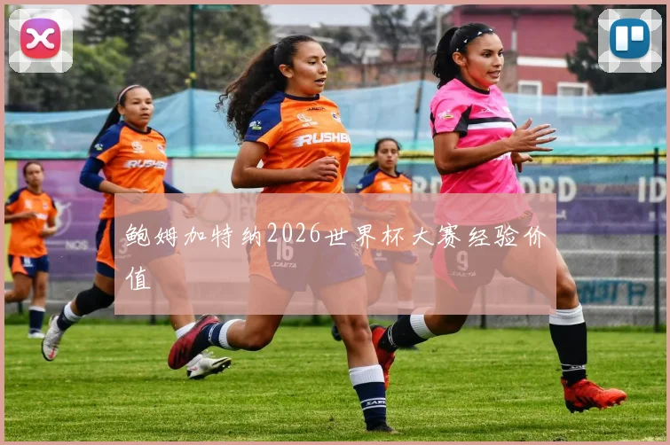 鲍姆加特纳2026世界杯大赛经验价值