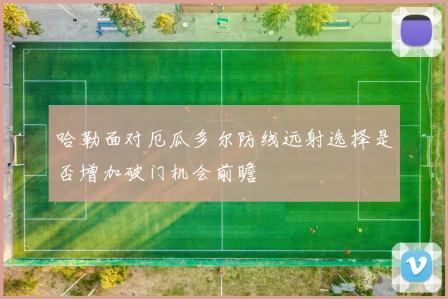 哈勒面对厄瓜多尔防线远射选择是否增加破门机会前瞻