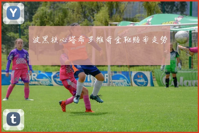 波黑核心塔希罗维奇金靴赔率走势