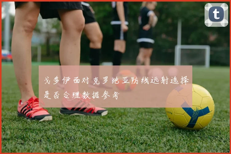 戈多伊面对克罗地亚防线远射选择是否合理数据参考