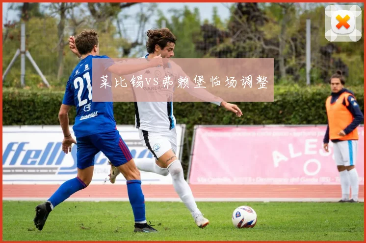 莱比锡vs弗赖堡临场调整
