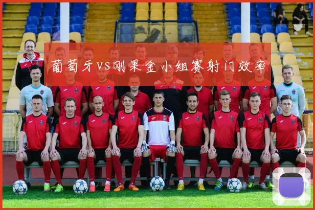 葡萄牙vs刚果金小组赛射门效率